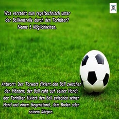 regelfragen_22-standard-g6glop.jpg