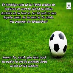 regelfragen_24-standard-s8ev9b.jpg