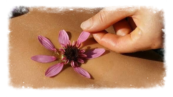Dettaglio di un fiore appoggiato sull'ombelico simbolo di benessere femminile  che può  essere finalmente riconosciuto e sostenuto con un approccio olistico e naturale.