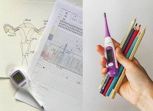 Materiale didattico e scheda di monitoraggio per l'apprendimento del metodo sintotermico.