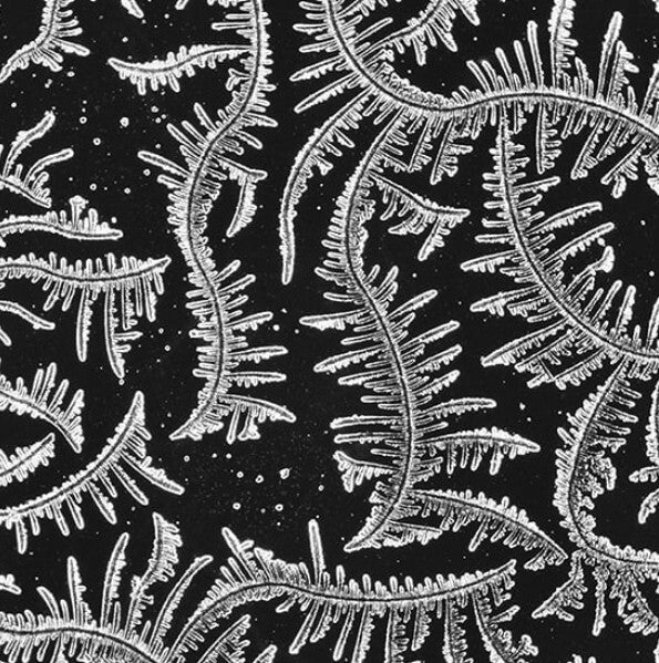 MUCO CERVICALE FERTILE  osservato al microscopio