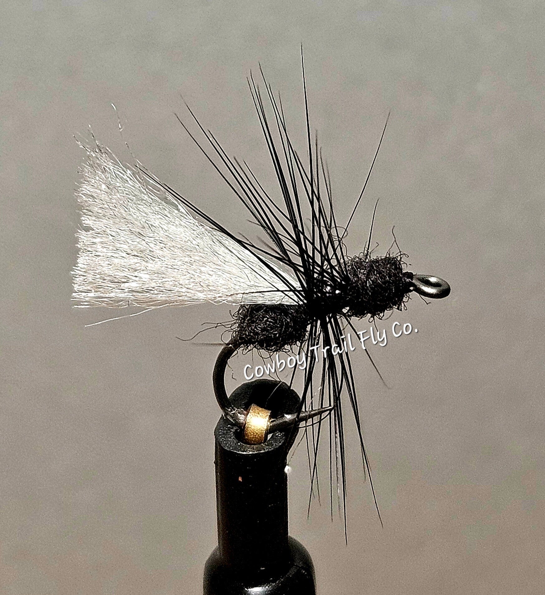 Flying Black Ant