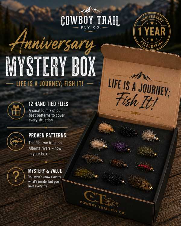 Anniversary Mystery Box