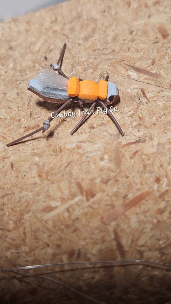 Western Hopper
