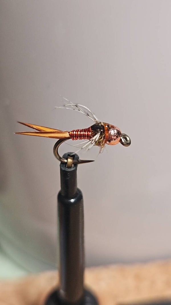 CTFC's Cowboy Copper