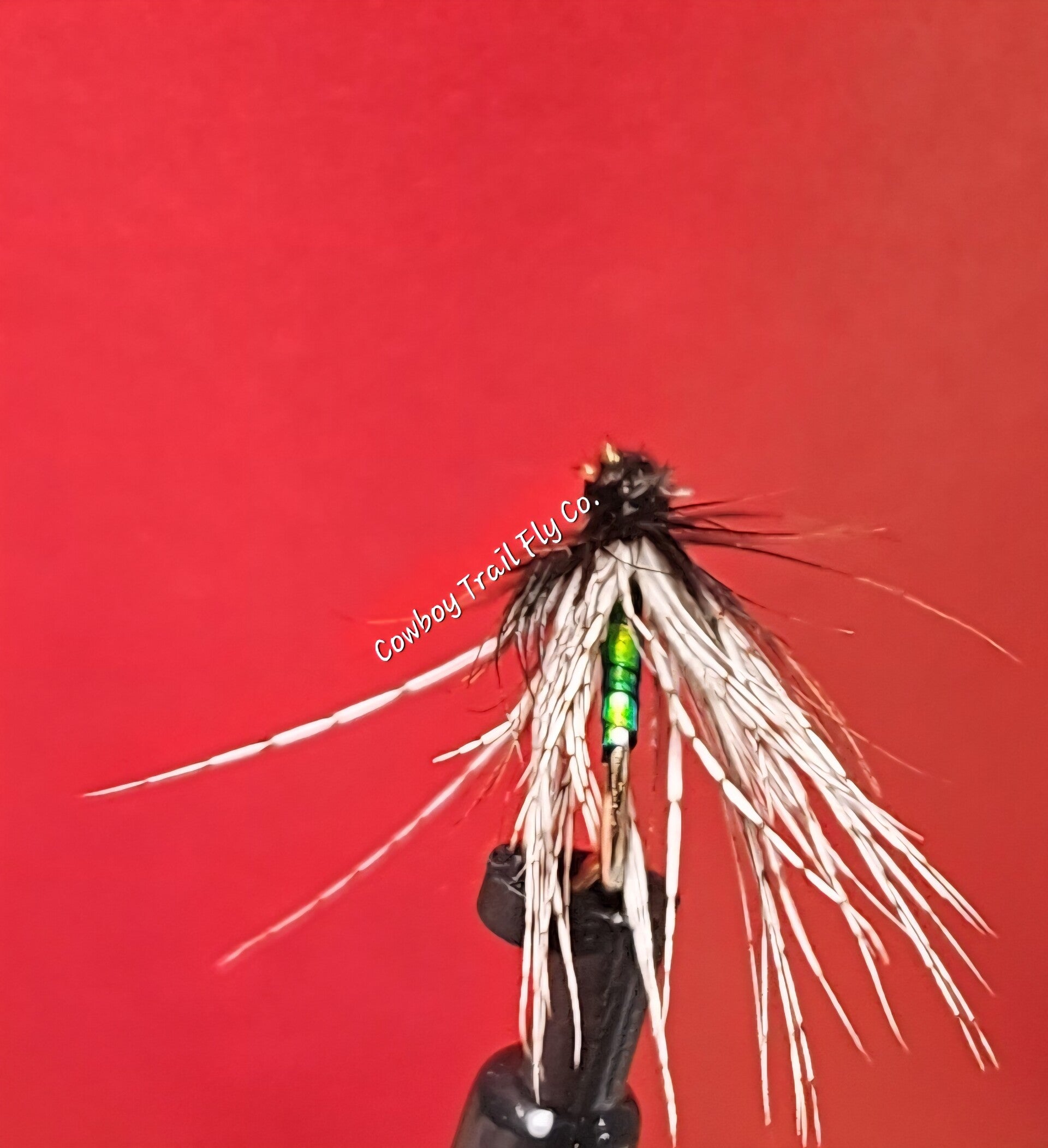 Partridge Soft Hackle