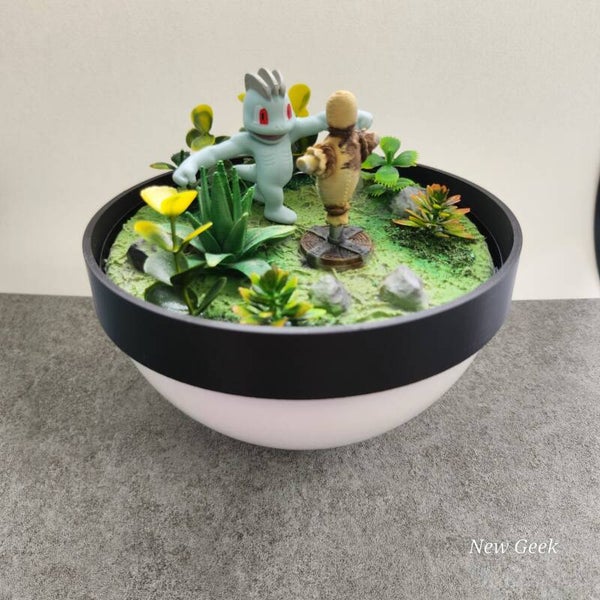 #066 (Pocket terra 12 cm)