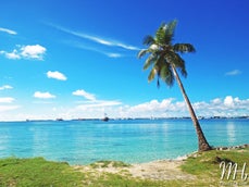 dscn0505-4.jpg