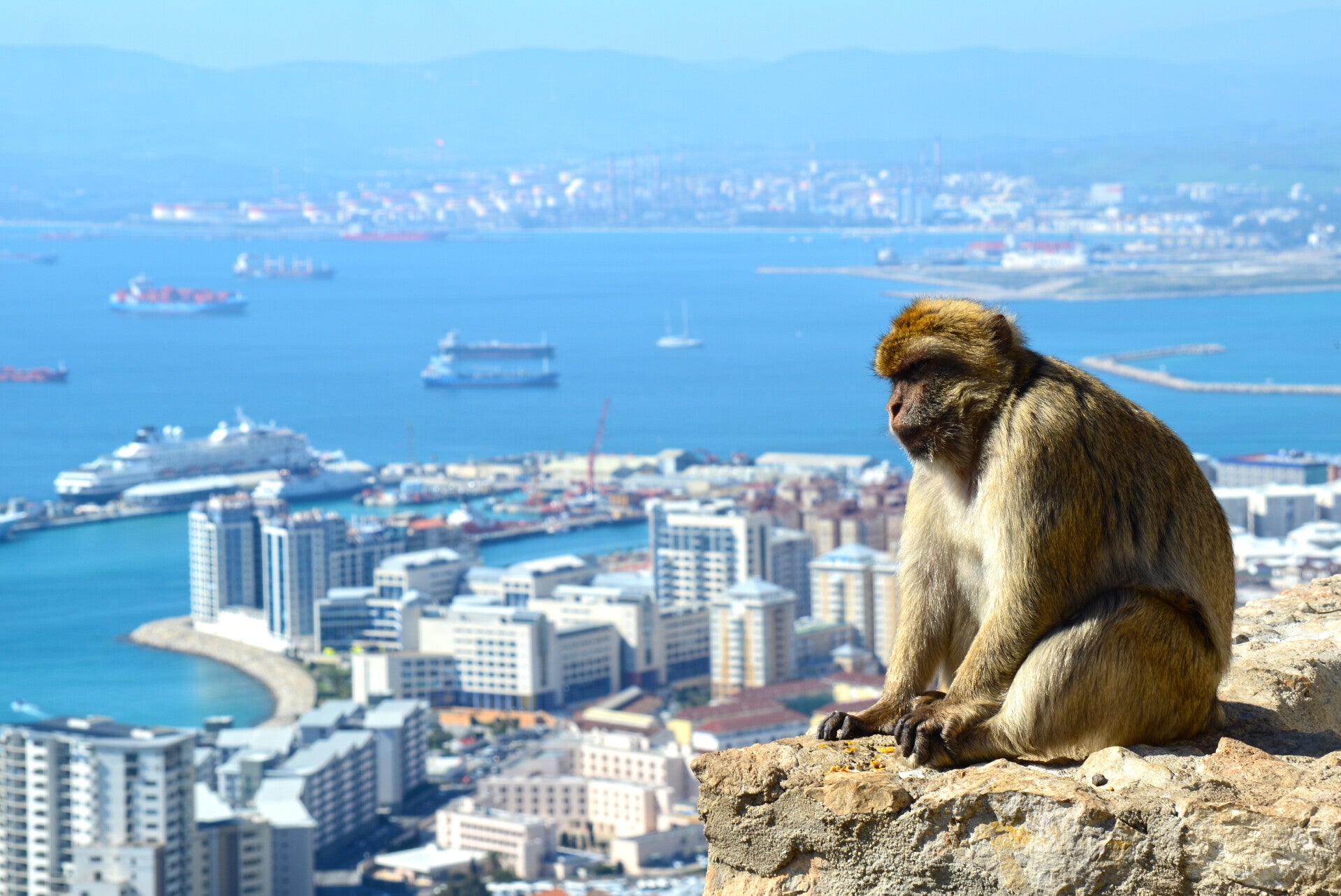 what makes gibraltar UK unique and special (with pics)