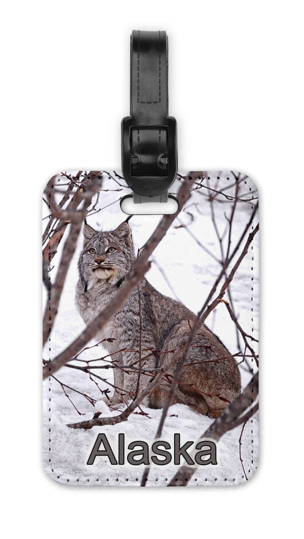 Elusive Lynx