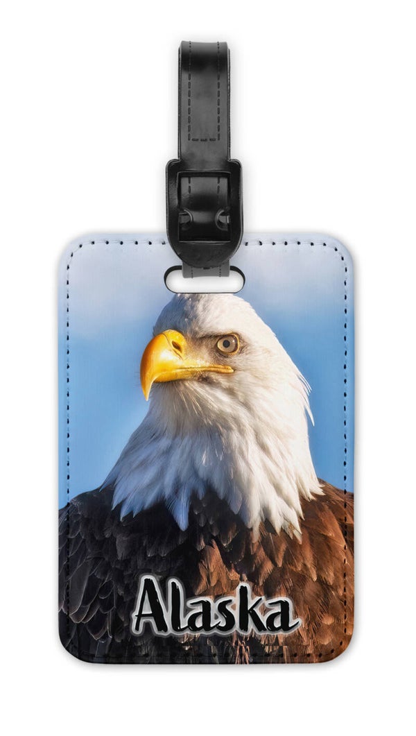 Eagle Portrait
