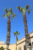 img_8730.jpg