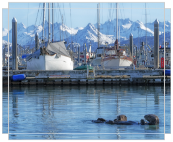 Homer Harbor