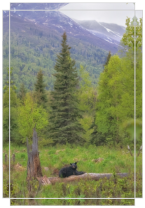 A Perfect Alaskan Scene