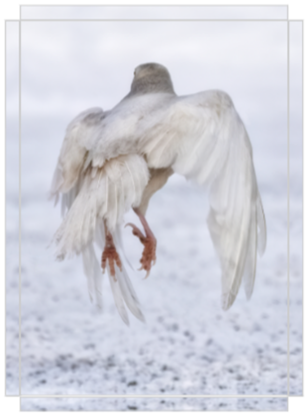 An Angel Taking Flight