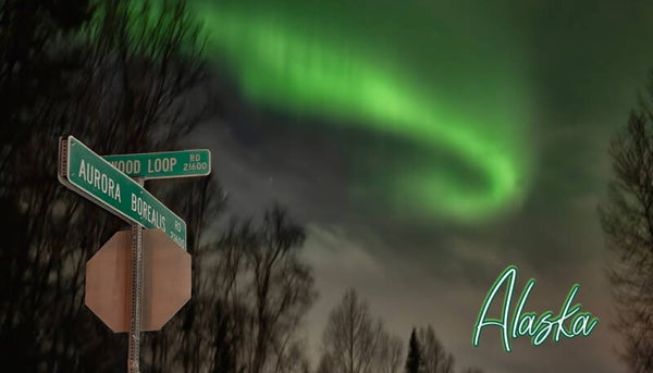 Serendipity at its Finest