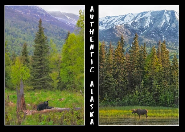 Authentic Alaska