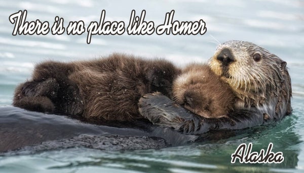 Baby's First Picture