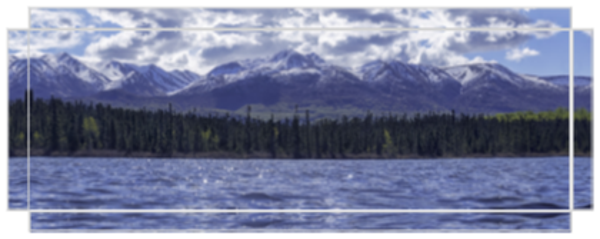 The Best of Both Worlds