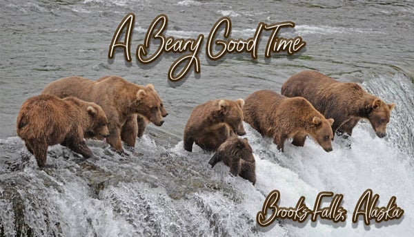 A Beary Good Time