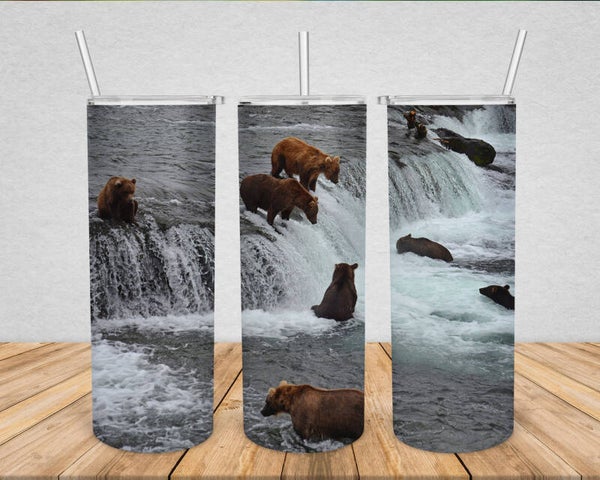 A Beary Good Time at Katmai