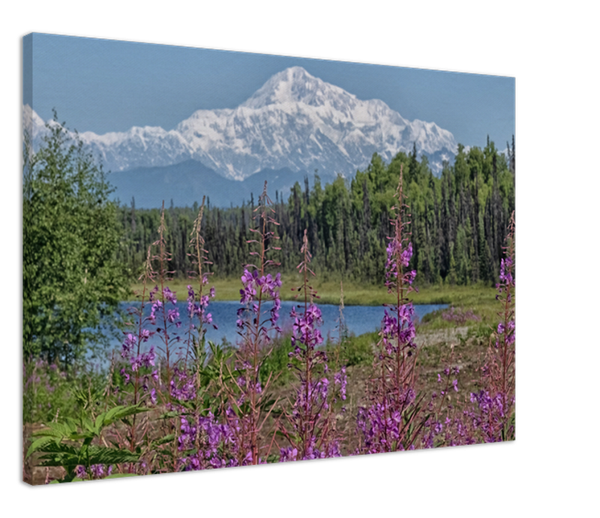 The Perfect Alaskan Cake Topper