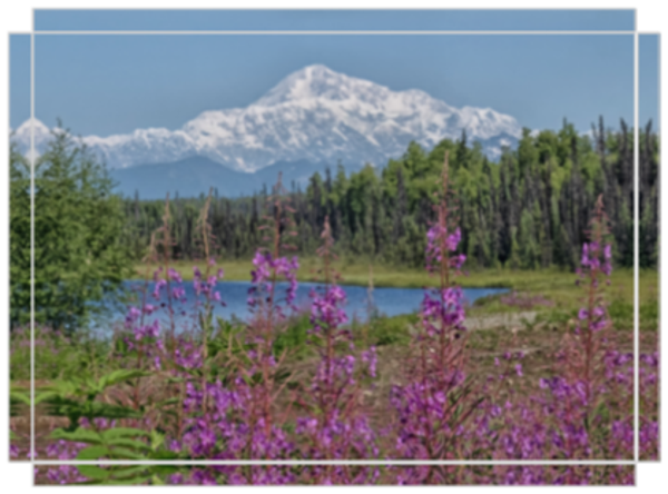 The Perfect Alaskan Cake Topper
