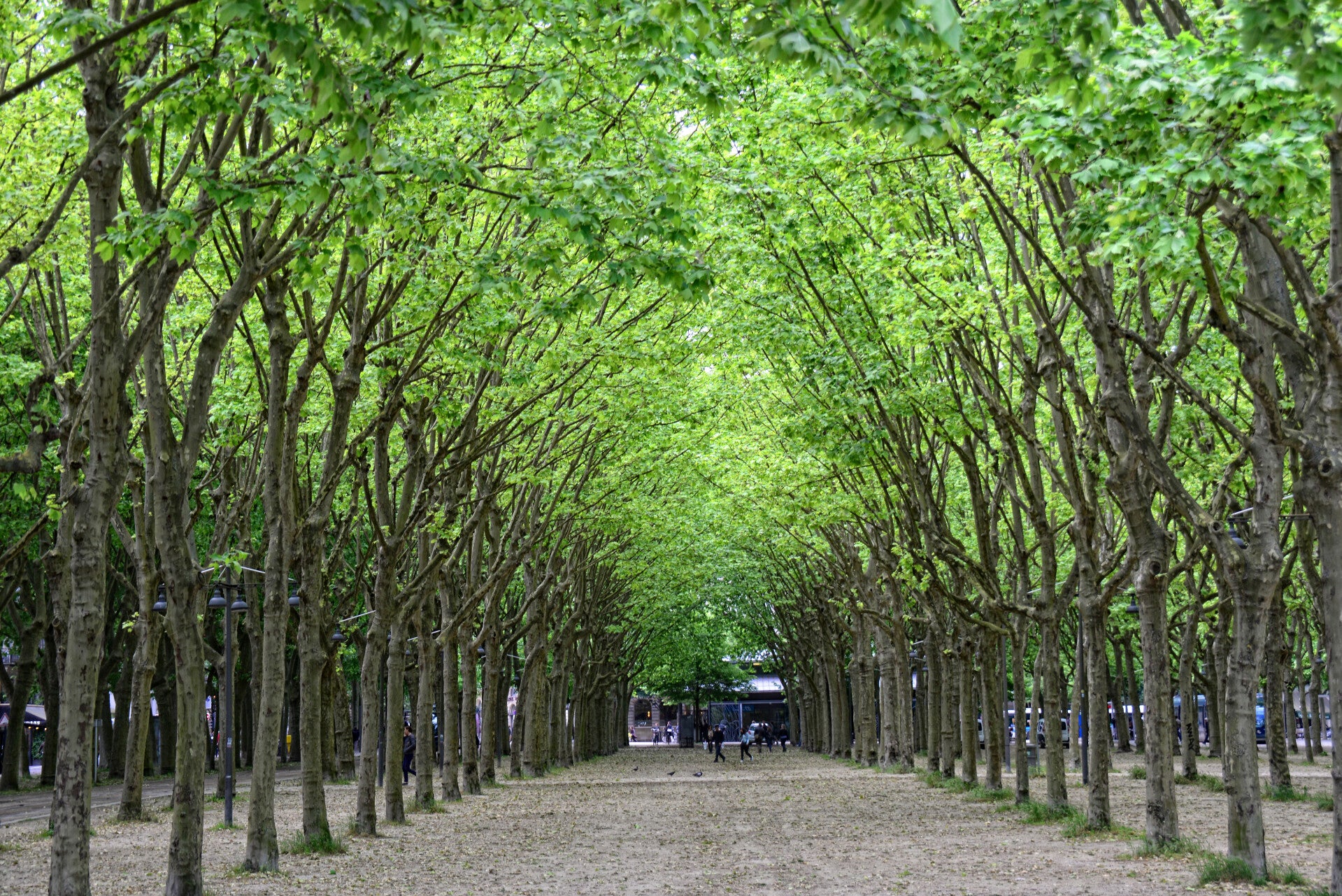 what makes bordeuax france unique and special (with pics)