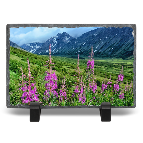 Fireweed Mountain
