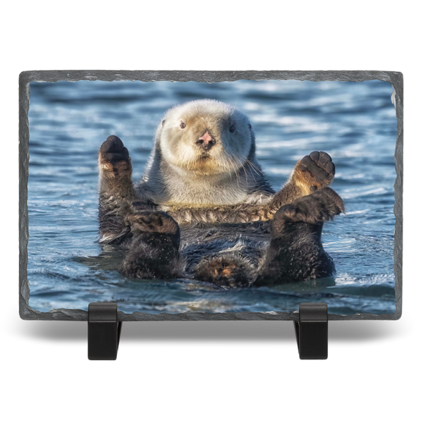 Cutest Otter Award