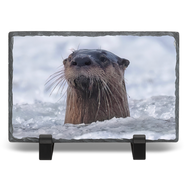 Whac-a-Mole