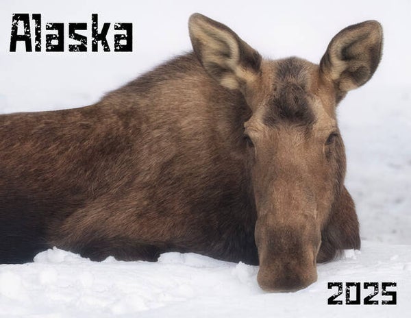 2025 Wildlife Calendar