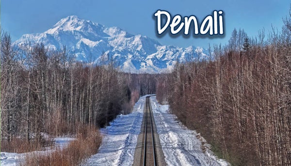 Train Ride to Denali