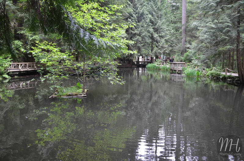 dsc_0487jpg.jpg