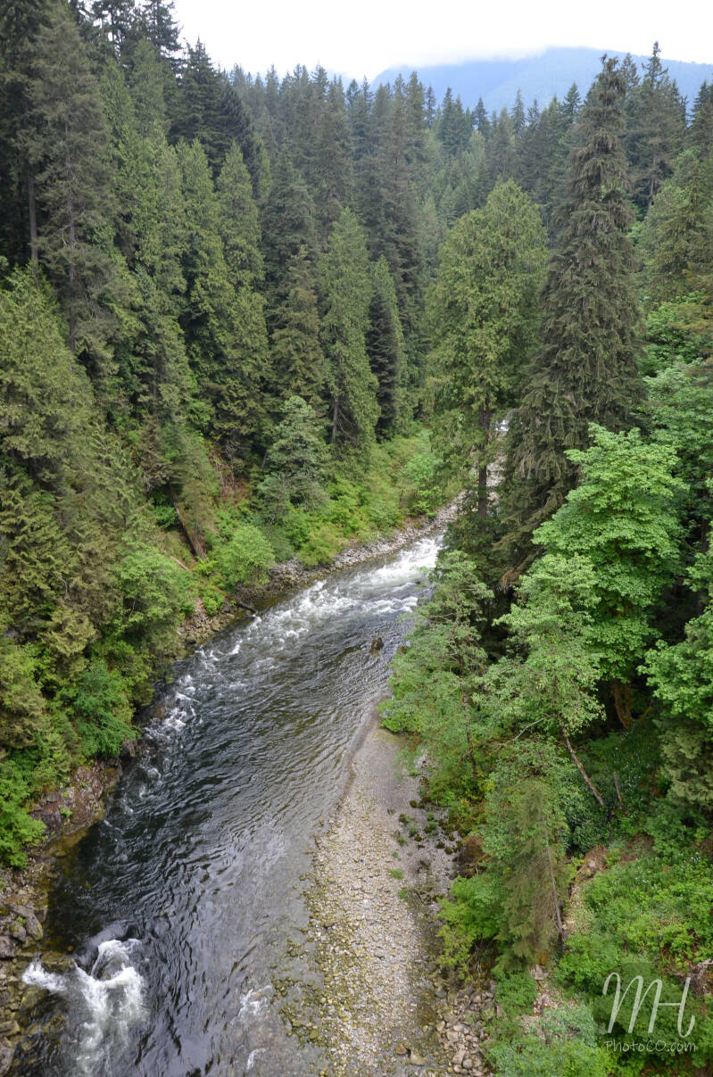 dsc_0585.jpg