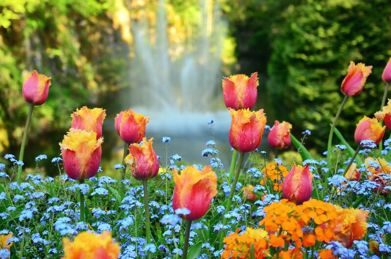 butchart gardens victoria british colombia