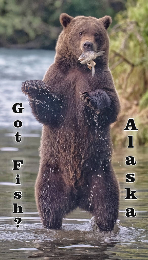 Got Fish?