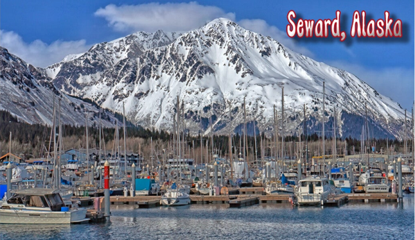 Seward Harbor Views