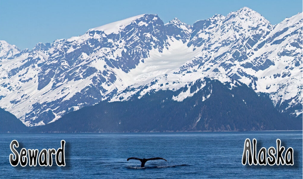 Seward Whale Tail