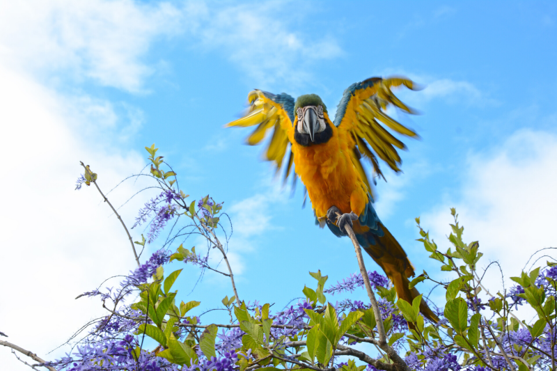 top reasons to visit french guiana