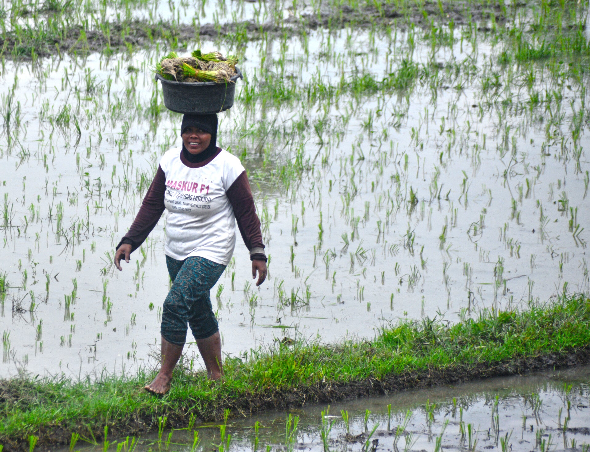 indonesia culture shock (with pics)