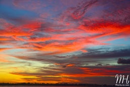 mdh_2461-1.jpg
