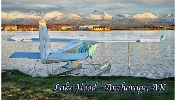 Pilot's License Goals