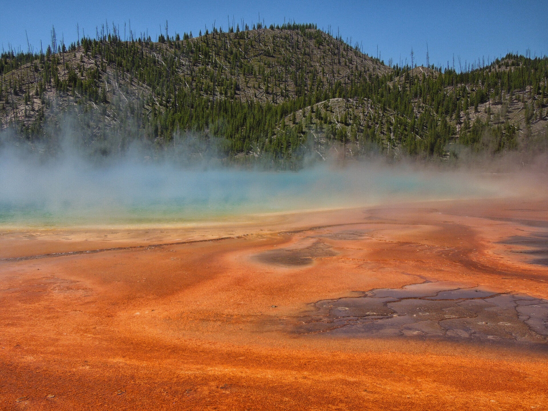 yellowstone national park wyoming