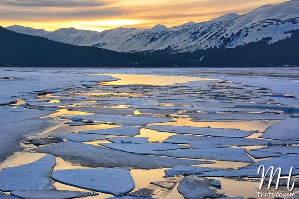 The Beauty of Breakup Season