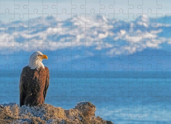American Pride