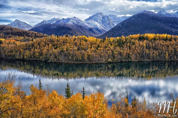 Nature's Finest Ingredients