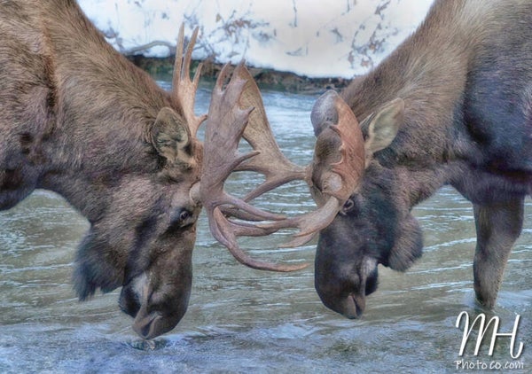 Practice Makes Perfect