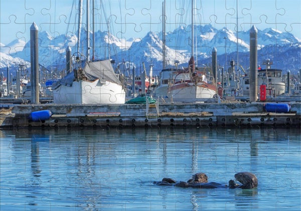 Homer Harbor