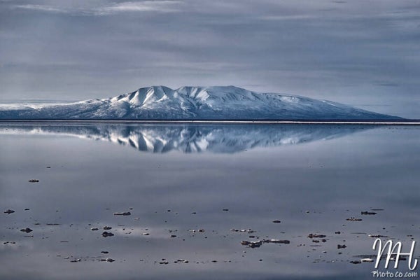 A Moment of Self-Reflection